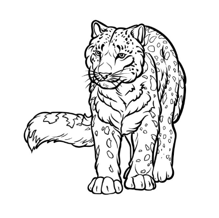 Draw A Snow Leopard