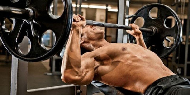 The Perfect Chest and Back Workout for a Beginner