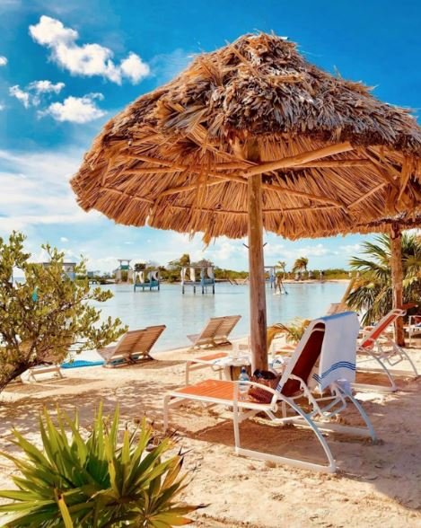 Who is Dustin Rennie and Why He is a Top Belize Realtor?