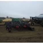 cattle mineral feeders