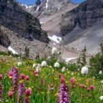 crawl space vapor barrier Greeley CO