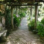 landscaper Carmel IN